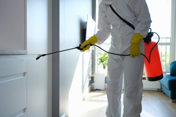 Trusted Shenandoah Heights, PA Mold Removal Experts
