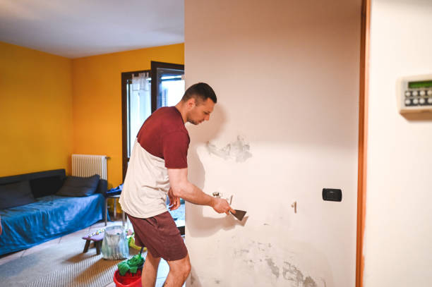 Best Mold Remediation  in Shenandoah Heights, PA